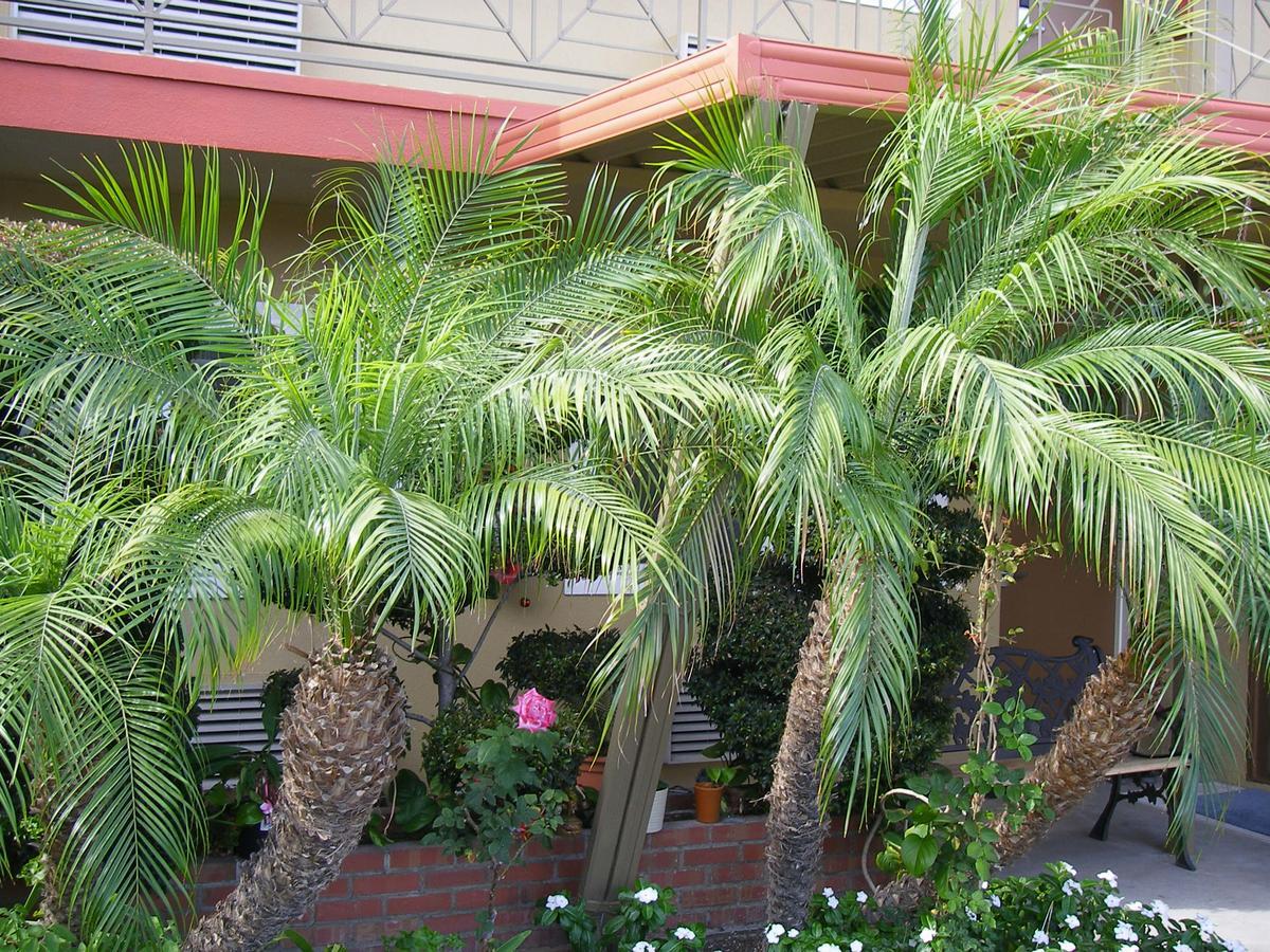 Fullerton Lodge Bagian luar foto